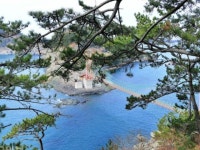 군소 할머니 삶 켜켜이... 동백·풍란 어우러진 통영 앞바다 그 섬