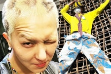 위너컴백 | 검색결과 - zum 허브