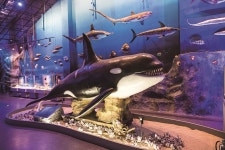 커버스토리 #전남 해남