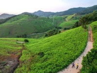 맥전포항 | 검색결과 - zum 허브
