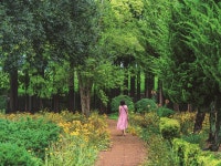 전라북도 | 검색결과 - zum 허브