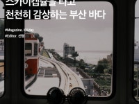 블루라인 :: ZUM 허브