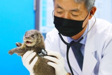 동물병원 | 검색결과 - zum 허브