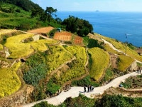 다랭이마을 | 검색결과 - zum 허브