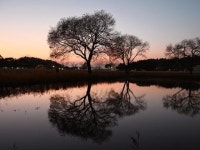 미륵사지 서탑 | 검색결과 - zum 허브