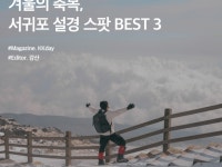서귀포 | 검색결과 - zum 허브