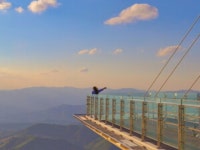 웰니스 | 검색결과 - zum 허브