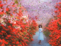 강진여행 | 검색결과 - zum 허브