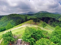산양 :: ZUM 허브
