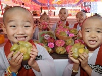 단팥빵 | 검색결과 - zum 허브