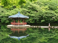 내장산 국립공원 | 검색결과 - zum 허브