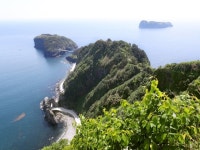 용암 | 검색결과 - zum 허브