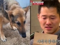 강진여고생사건 | 검색결과 - zum 허브