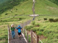 불갑사 | 검색결과 - zum 허브