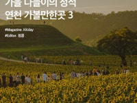 재인폭포 :: ZUM 허브