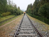 푸른수목원 :: ZUM 허브