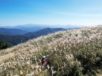 지리산펜션 | 검색결과 - zum 허브