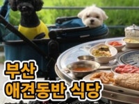 부산애견동반식당 | 검색결과 - zum 허브