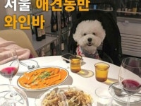 애견동반가능 :: ZUM 허브