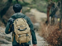 호명산잣나무숲속캠핑장 | 검색결과 - zum 허브