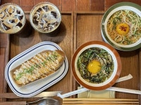 애견동만카페 :: ZUM 허브