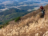 청라 은행마을 | 검색결과 - ZUM 허브