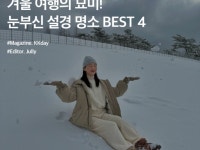 개인텐트 :: ZUM 허브