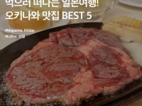 렌터카 비싼 이유 | 검색결과 - ZUM 허브