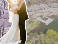 공공예식장 | 검색결과 - zum 허브