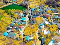 매화마을 | 검색결과 - ZUM 허브