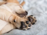 발 관리법 | 검색결과 - zum 허브