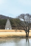 봄이 먼저 내려앉은 곳, 익산
