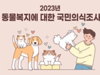 PET :: ZUM 허브