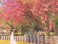 한옥마을 :: ZUM 허브