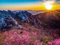 4월 | 검색결과 - zum 허브
