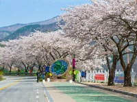 임고서원 :: ZUM 허브