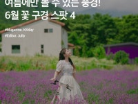 하늬 :: ZUM 허브