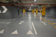 피가 거꾸로 솟았다..새벽에 아파트 주차장서 찰칵, 뭐하나 봤더니..어머나