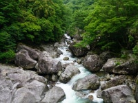 지리산 펜션 | 검색결과 - ZUM 허브