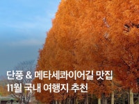 2343 | 검색결과 - zum 허브