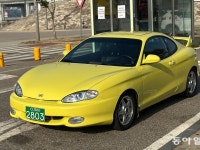 차에진심 | 검색결과 - zum 허브