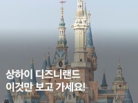 미키마우스 | 검색결과 - ZUM 허브