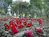 월간산 추천, 3월에 걷기 좋은 길 4선