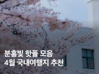 연화지벚꽃 | 검색결과 - zum 허브