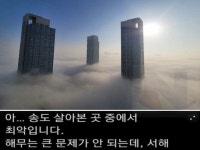 인천 | 검색결과 - ZUM 허브