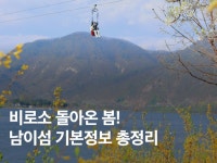 남이섬 | 검색결과 - zum 허브