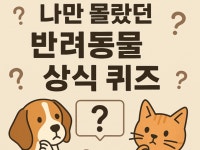 PET | 검색결과 - ZUM 허브