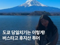 좋은사람 | 검색결과 - ZUM 허브
