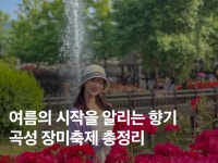 곡성 | 검색결과 - zum 허브