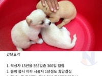 귀농 | 검색결과 - zum 허브